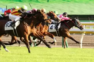 走る馬