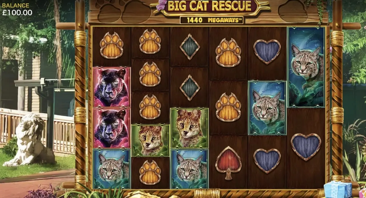 Big Cat Rescue Megaways