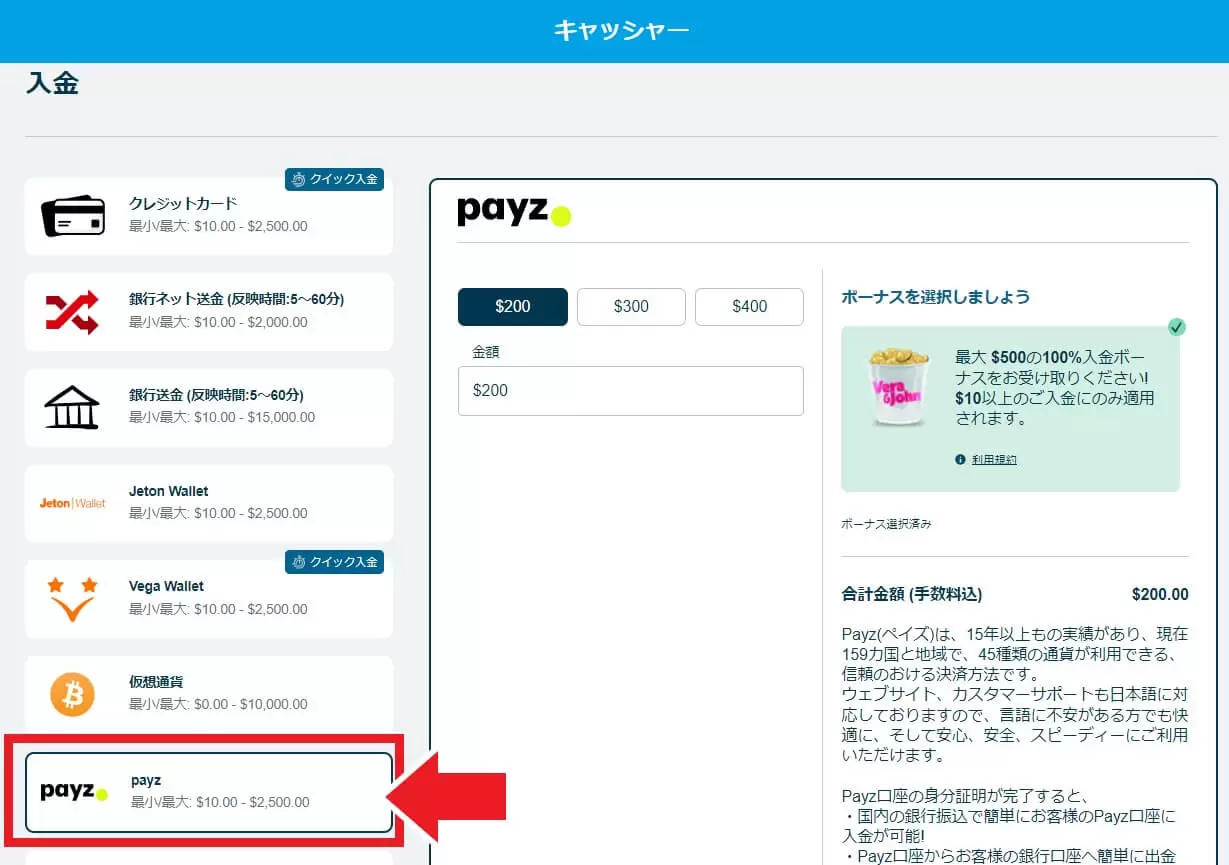 ベラジョン　payz 入金２