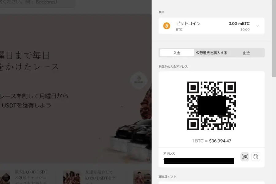 ビットカジノ　入金方法