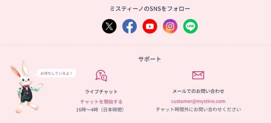 ミスティーノ　サポート