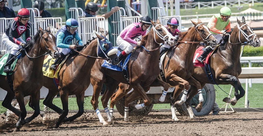 競馬