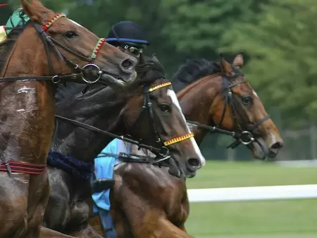 【攻略】ウィリアムヒルで競馬をプレイ！馬券の買い方やオッズまで徹底解説