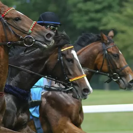 【攻略】ウィリアムヒルで競馬をプレイ！馬券の買い方やオッズまで徹底解説