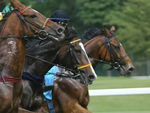 【攻略】ウィリアムヒルで競馬をプレイ！馬券の買い方やオッズまで徹底解説